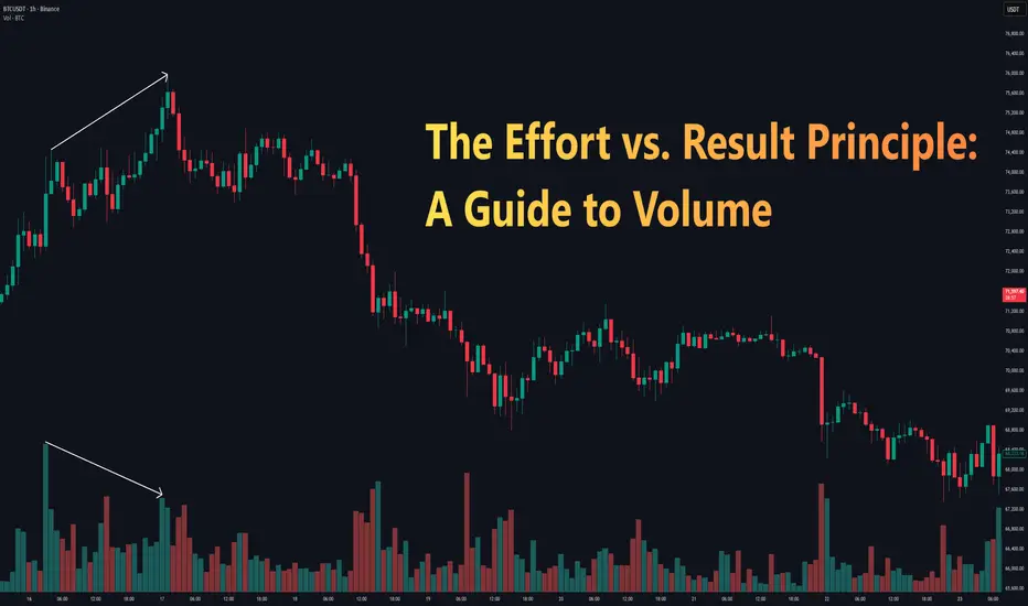 📊 The Bounce Survival Guide: How to Profit Without Getting Faked Out